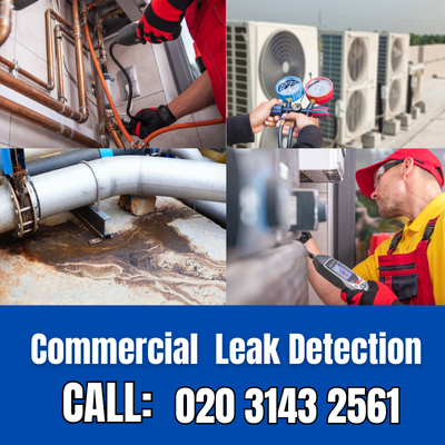 Commercial Leak Detection Services in Holland Park | Holland Park Leak Detection