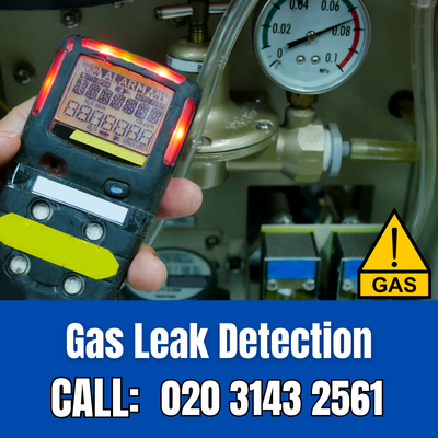 Expert Gas Leak Detection Services in Holland Park | Holland Park Leak Detection