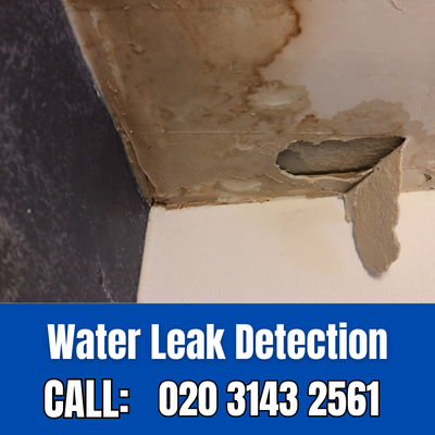 Expert Water Leak Detection Services in Holland Park | Holland Park Leak Detection